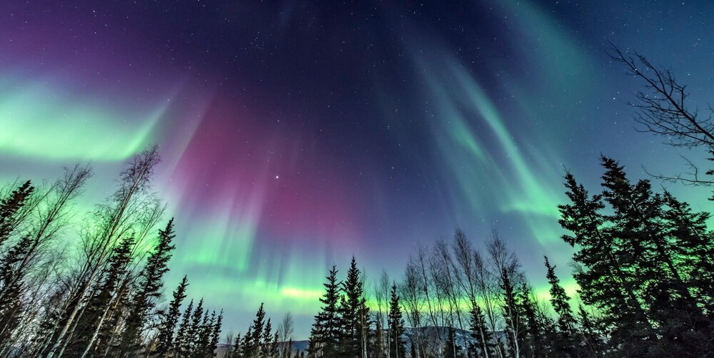 Aurora borealis over the boreal forest near Fairbanks