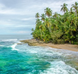 Palm-lined tropical beach on the Caribbean coast of Costa Rica